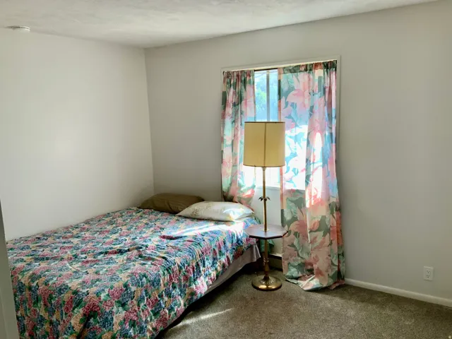 Wall-to-wall carpeting and a window with natural light