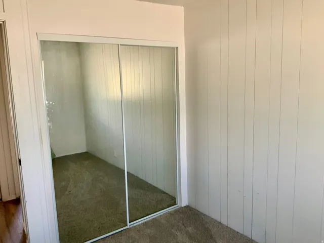 Mirrored sliding closet doors, vertical paneled wall, and carpet flooring