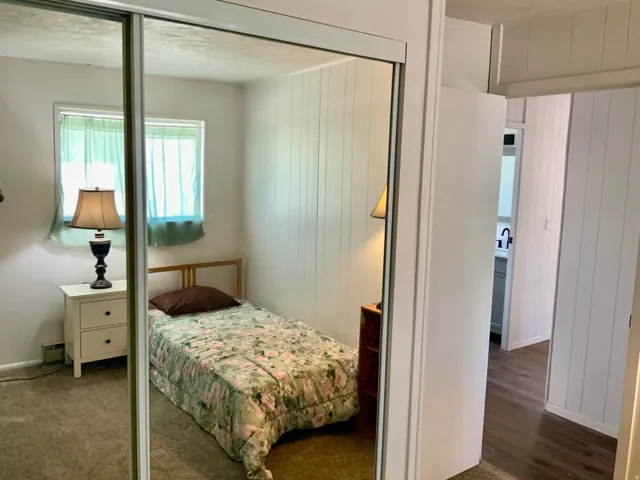 Mirrored sliding closet doors with white trim