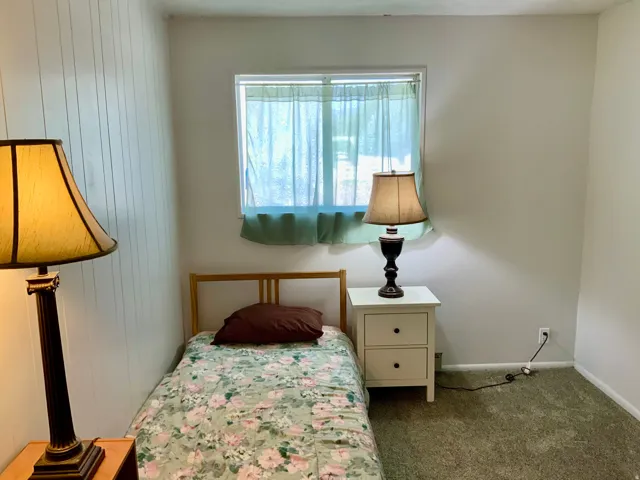 Light-colored wall paneling, window with trim, wall-to-wall carpeting