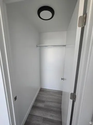Recessed closet with a single hanging rod, wood-finish flooring, and a modern ceiling light fixture
