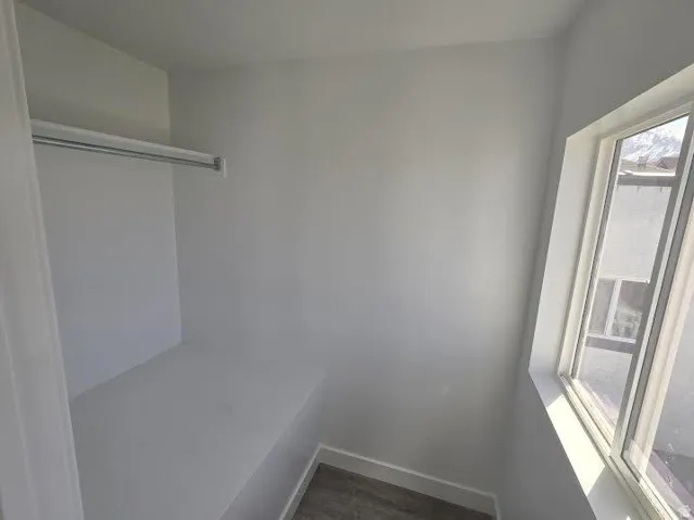 Integrated built-in shelving, chrome closet rod, and a window with white trim