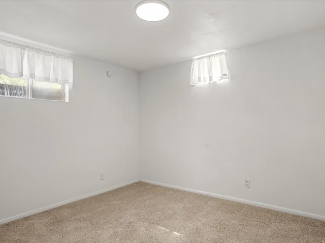 Carpeted flooring, white walls, two windows, and a flush-mount ceiling light fixture