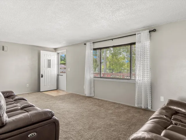 Carpeted living area with textured walls, a front entry door with a glass insert, and a large window providing ample natural light
