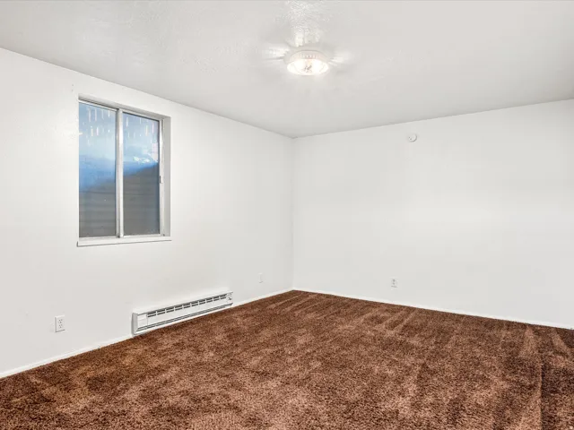 White wall finishes, brown carpet flooring, built-in window, and ceiling-mounted light fixture