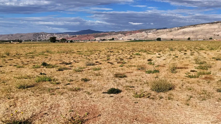 Expansive open land with distant mountain ranges and scattered vegetation