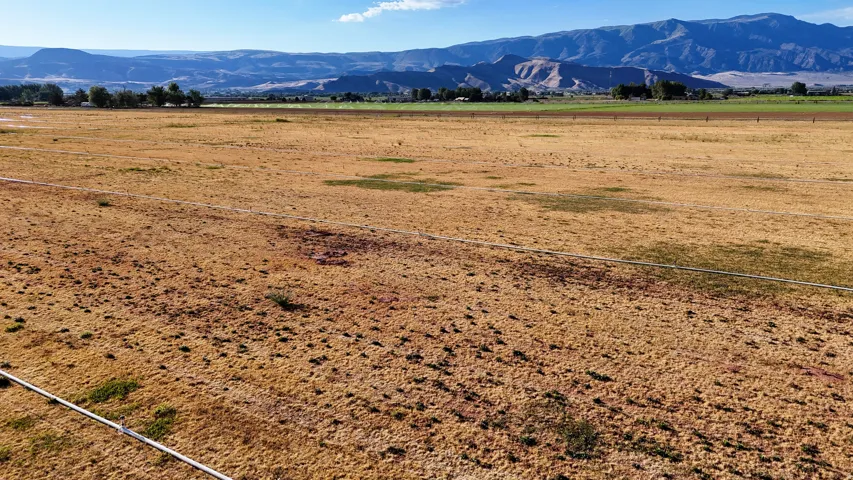 Expansive land parcel with natural terrain