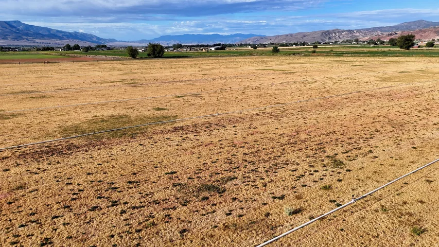 Expansive open field with distant mountain range