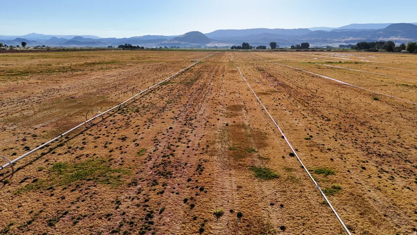 Expansive open field featuring agricultural irrigation lines, distant mountain range, and clear sky