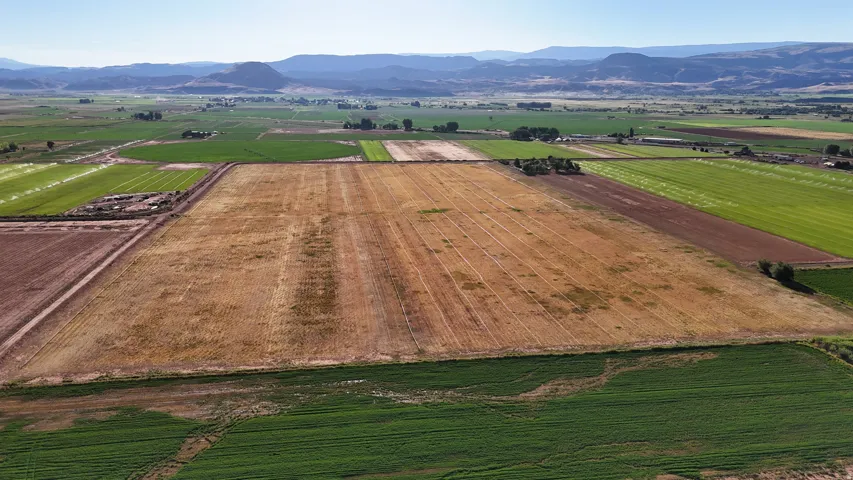 Expansive land parcel featuring diverse field cultivation and distant mountain backdrop