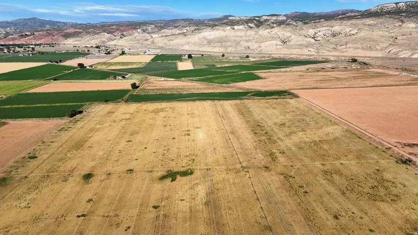 Expansive agricultural fields with varied crop cultivation, distinct field divisions, and a distant mountain range backdrop