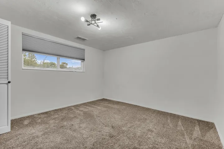 Neutral wall finishes, textured carpeting, and a modern ceiling fixture