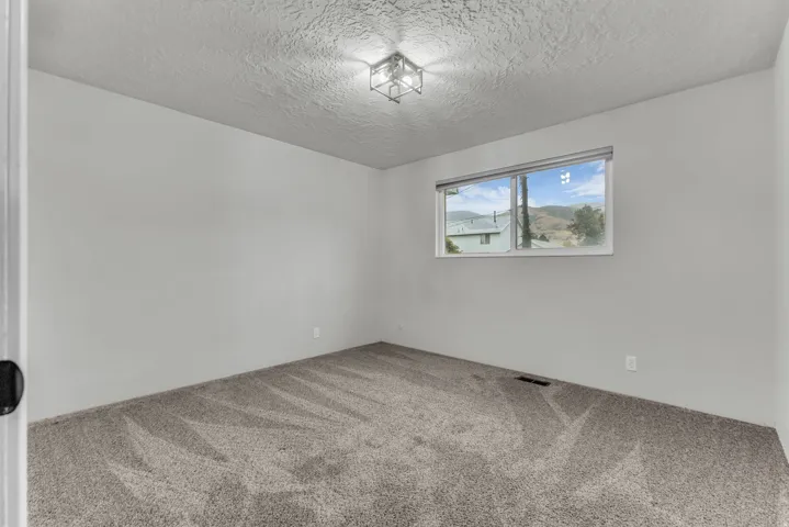 Neutral wall paint, ceiling-mounted light fixture, light gray carpet, and window with outdoor scenery