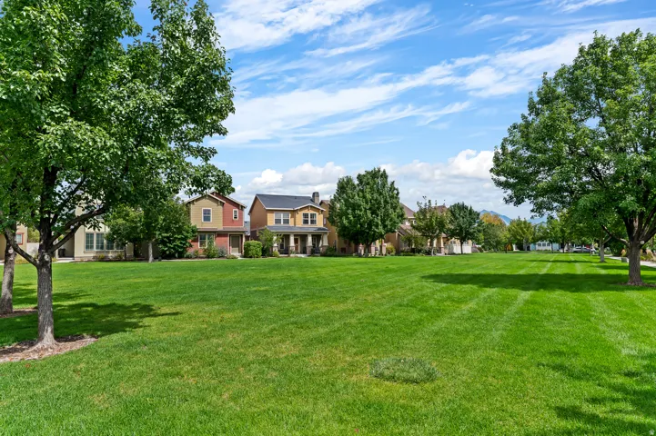 Expansive green space featuring a manicured lawn, mature trees, and a distant residential street