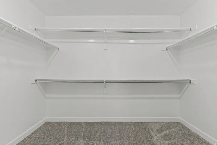 Walk-in closet with carpet flooring, white walls, and built-in shelving with hanging rods