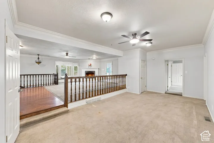 Carpeted upper level featuring a ceiling fan, crown molding, and a built-in storage closet