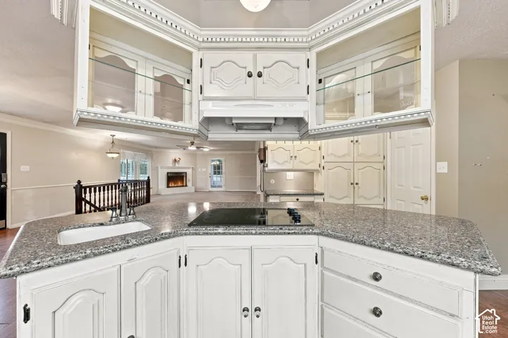 Kitchen featuring white cabinetry, a built-in cooktop, and a double basin sink