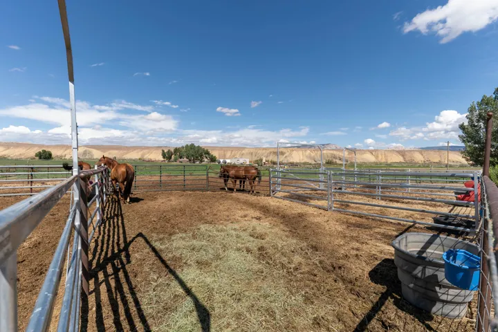 Enclosed corral featuring metal fencing and a dirt floor