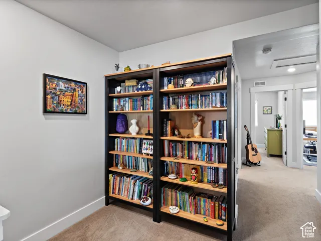 Built-in shelving with wood-finish shelves and dark framing