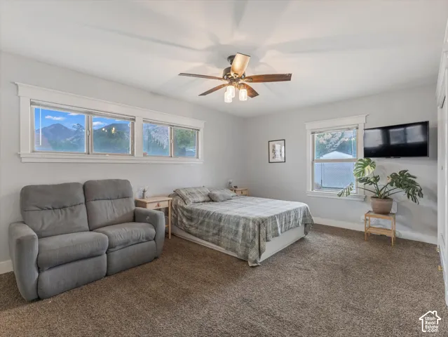 Interior space with textured carpeting, a ceiling fan with integrated lighting, and multiple windows with white trim