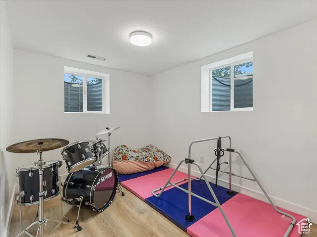 Recessed windows with corrugated well, flush mount ceiling light, and wood-finish flooring
