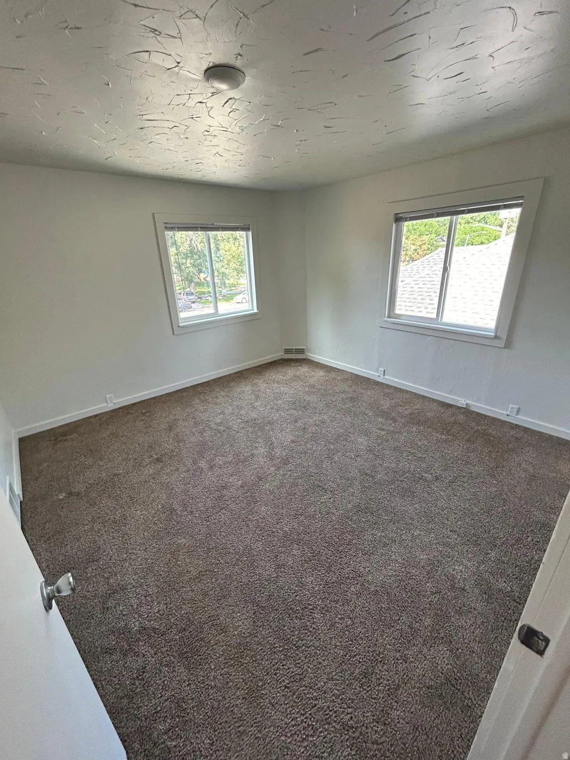 Carpeted room featuring two windows and a ceiling-mounted light fixture