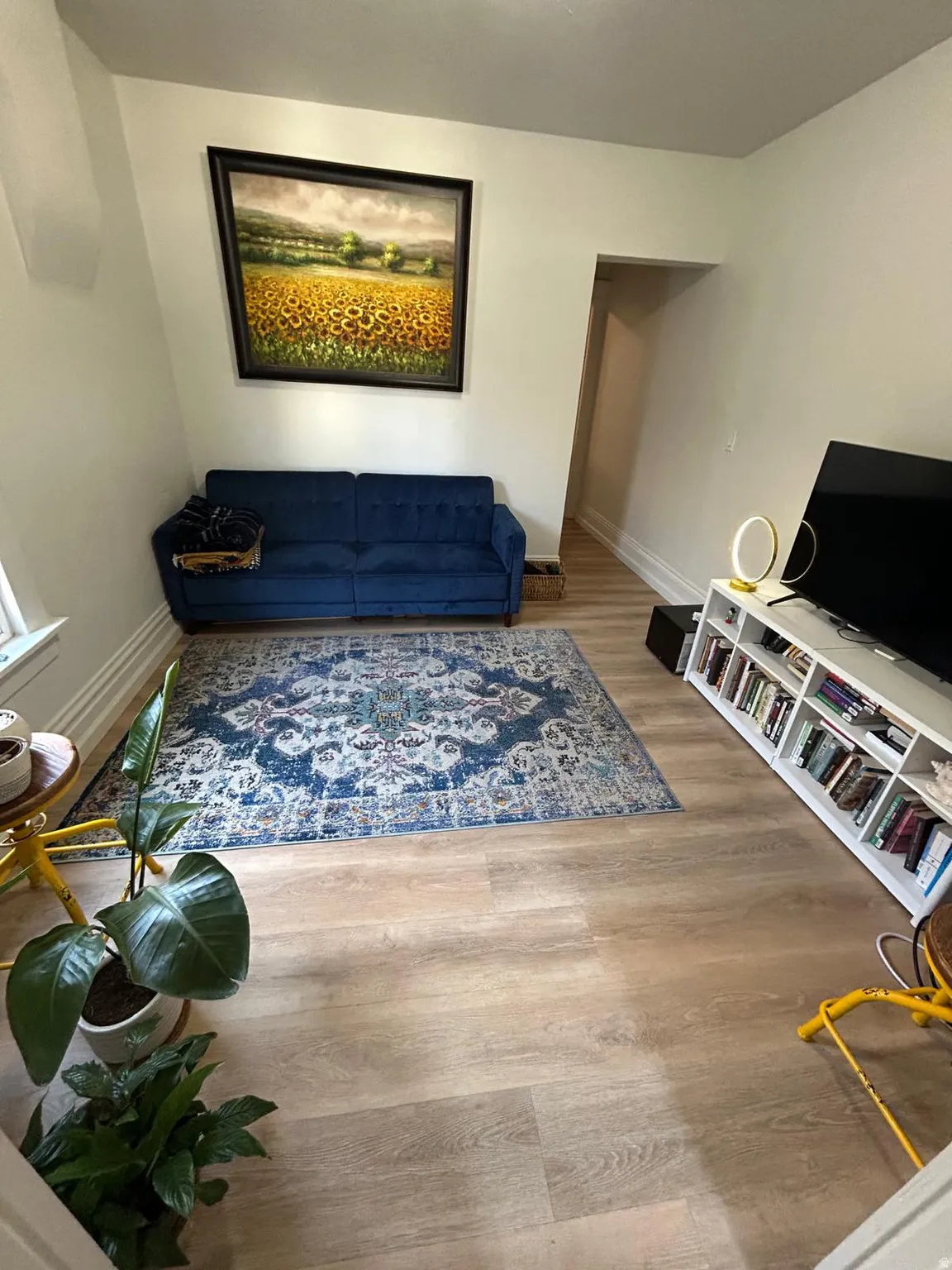 Light wood-finish flooring with white baseboards and painted walls