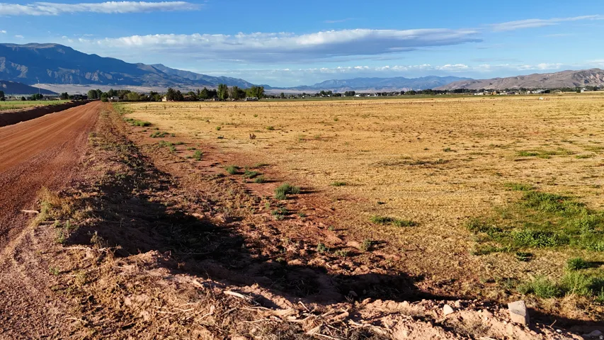 Expansive open land with a dirt road, featuring distant mountains and a broad horizon