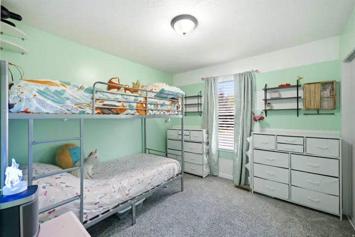 Window with blinds, wall-mounted shelving, overhead lighting, and carpeted flooring