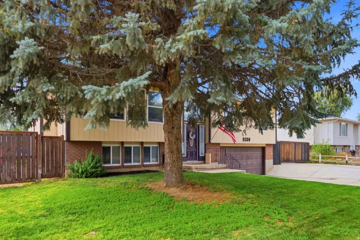 Mature evergreen tree anchors a sprawling manicured lawn with established landscaping