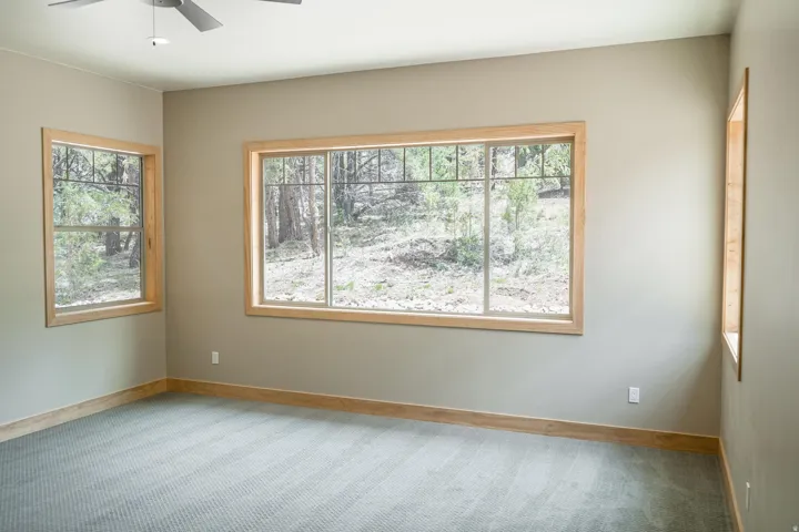 Carpeted room with multiple windows, natural wood trim, and a ceiling fan