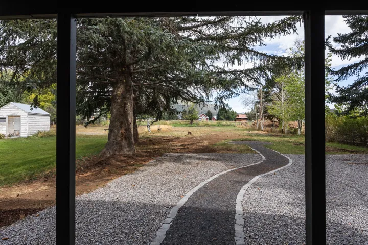 Gravel driveway with a curving pathway, mature evergreen trees, and a detached shed