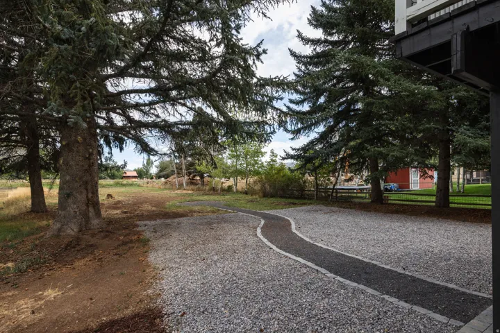 Gravel path with a dark aggregate walkway, bordered by mature evergreen trees
