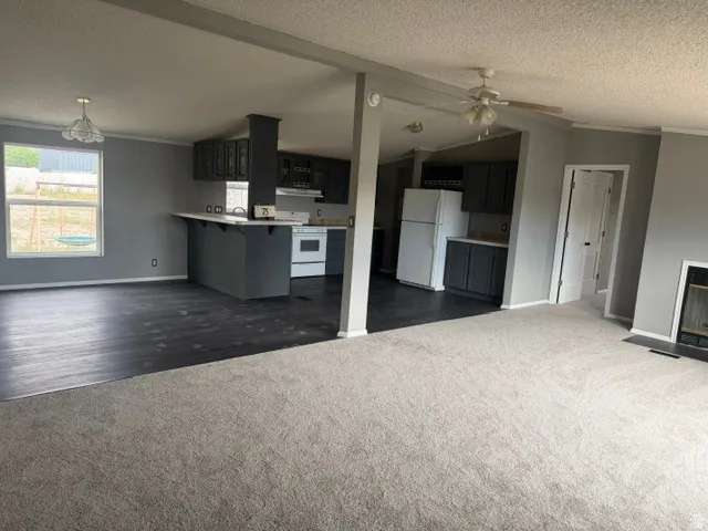 Open-concept living space with light gray carpeting, wood-finish flooring, and a kitchen featuring dark cabinetry