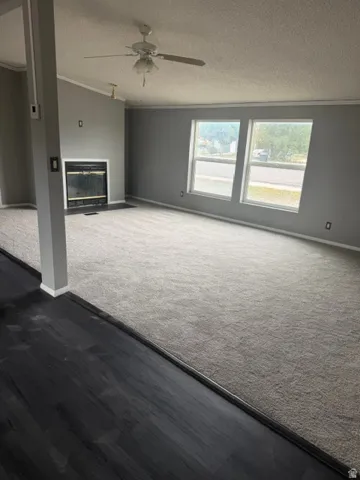 Spacious room featuring light gray carpeting, wood-finish flooring, a fireplace with a black surround, and multiple windows