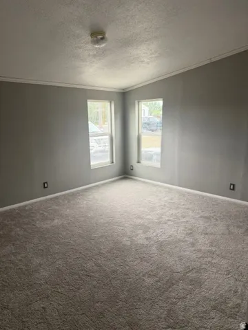 Light gray wall paint, white crown molding, two windows, carpet flooring, and a ceiling-mounted light fixture