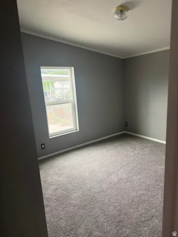 Gray wall paint, white trim, gray carpet, and a flush mount ceiling light