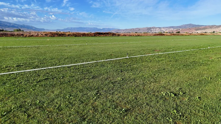 Expansive green field with a linear irrigation system and distant mountain ranges