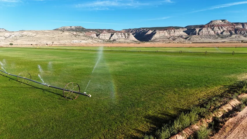 Expansive green field featuring a center pivot irrigation system and natural terrain