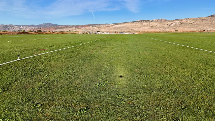 Expansive grassy area with mountain backdrop
