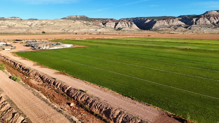 Expansive green fields with distant mountain backdrop