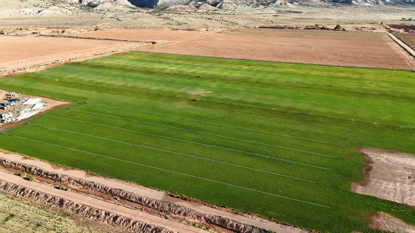 Expansive agricultural land featuring irrigated green fields