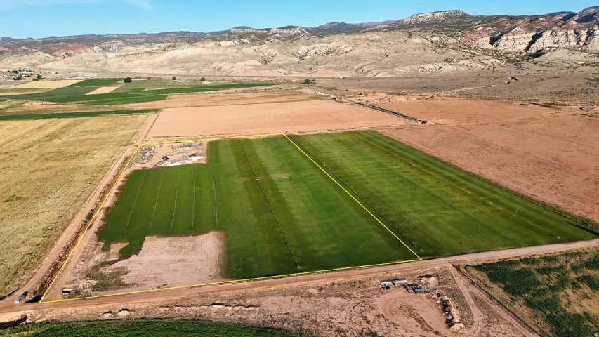 Expansive cultivated land featuring green fields and visible irrigation systems, bordered by uncultivated terrain