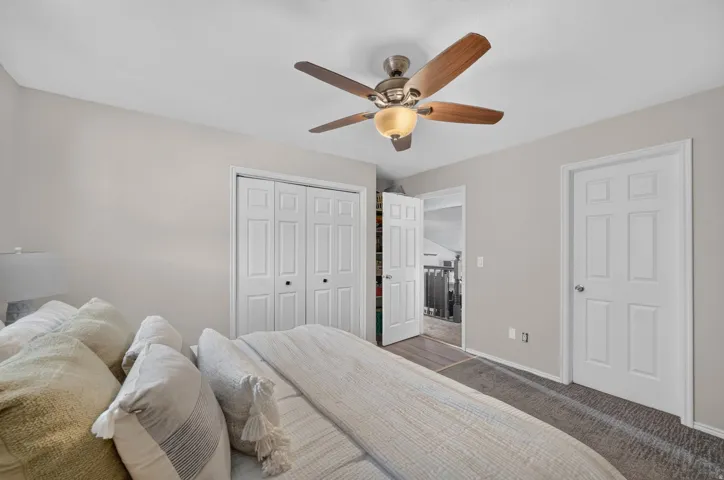 Ceiling fan with light fixture, paneled doors, neutral wall paint, carpeted flooring, wood-finish flooring