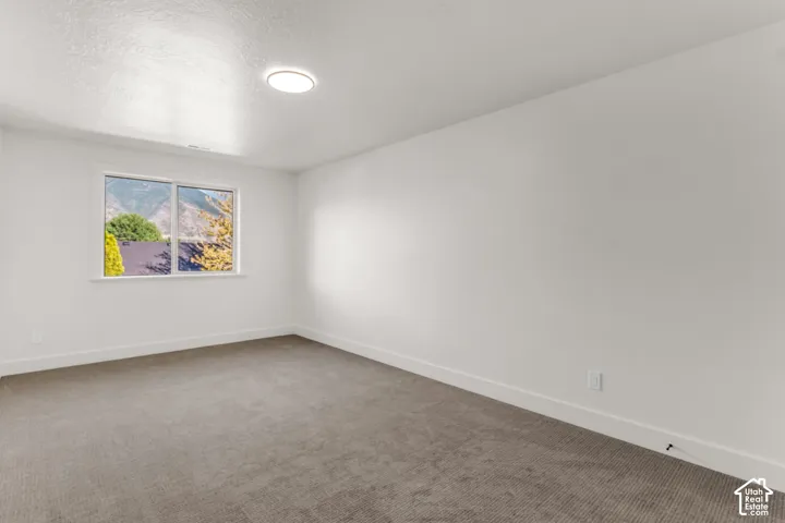 Neutral wall paint, plush carpet flooring, recessed lighting, and a single window