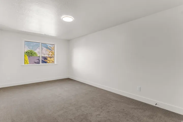 Neutral wall paint, plush carpet flooring, recessed lighting, and a single window