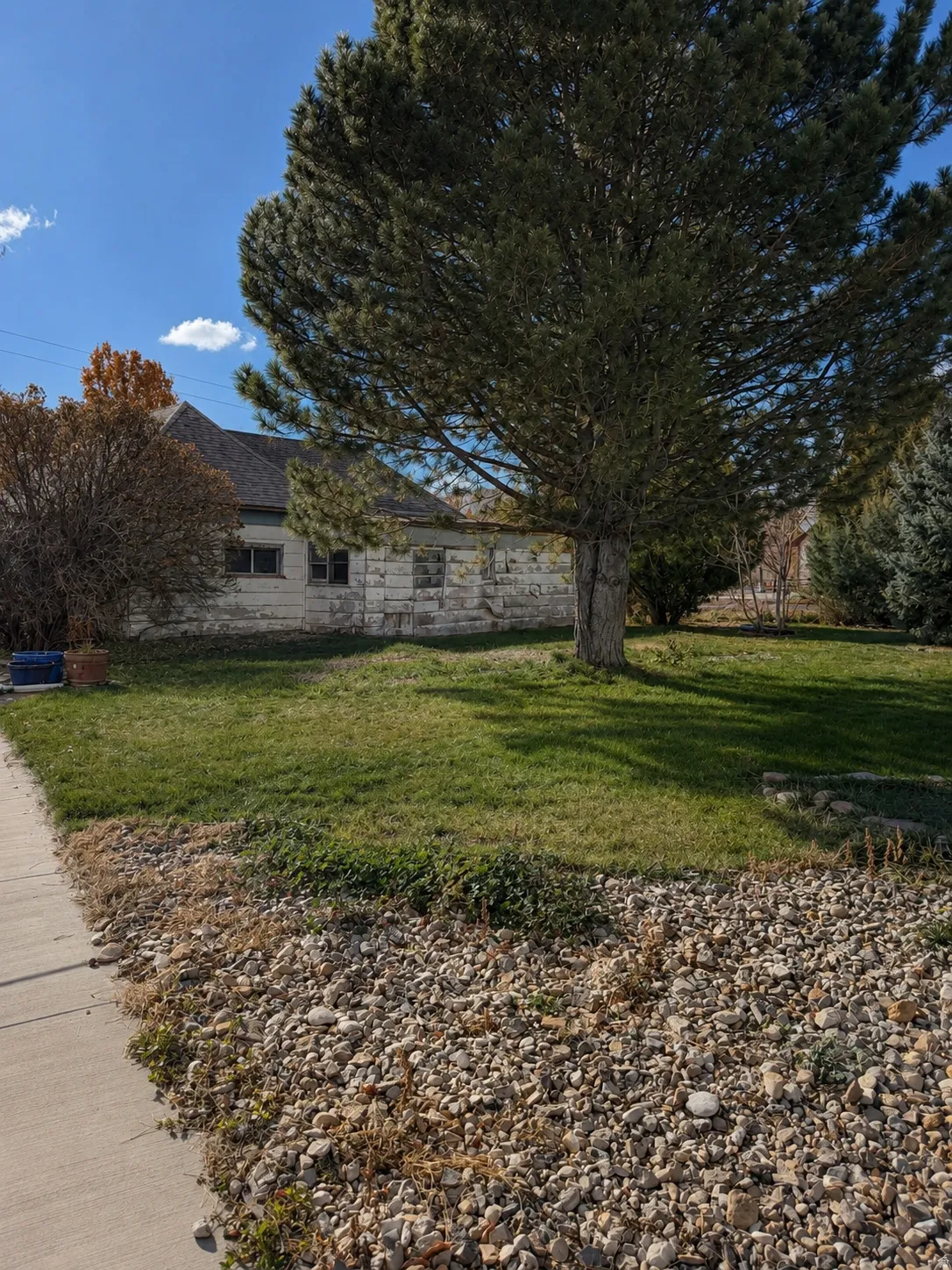 Mature tree providing shade, green lawn, gravel landscaping, and concrete sidewalk