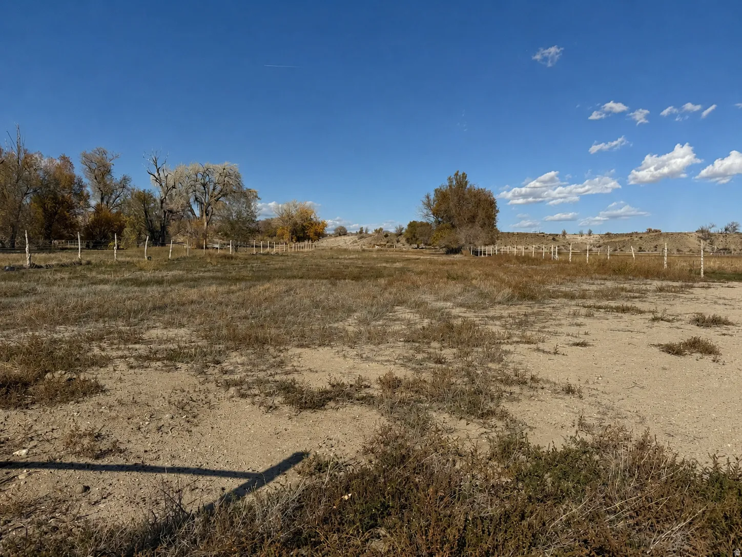 Expansive open land with a partial post fence, mature trees, and natural ground cover