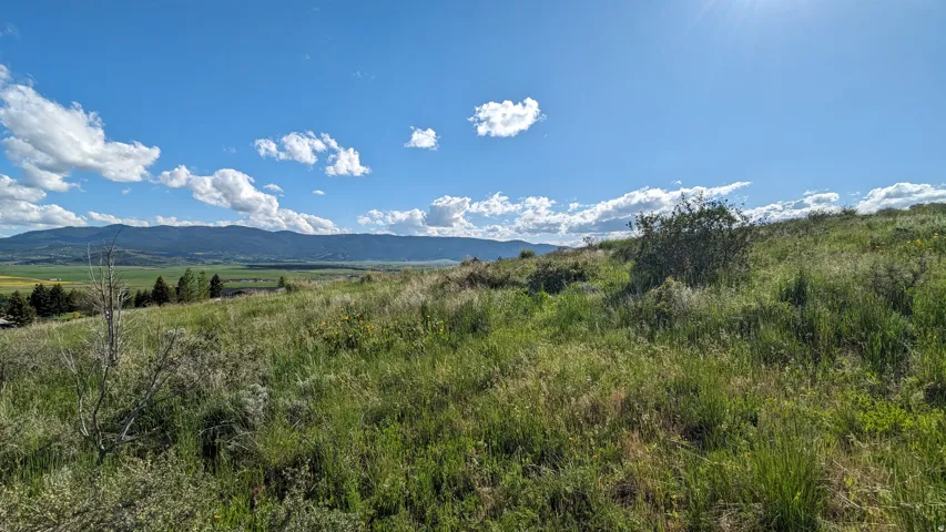 Expansive undeveloped lot with sloping terrain and natural vegetation, offering distant mountainous scenery