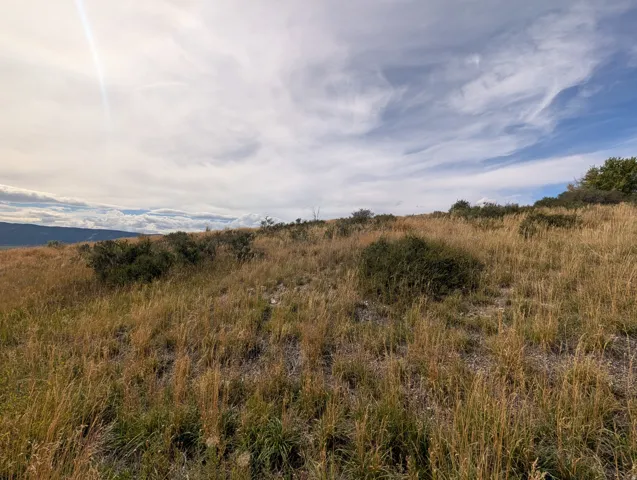 Expansive open terrain featuring natural grasses and scattered brush